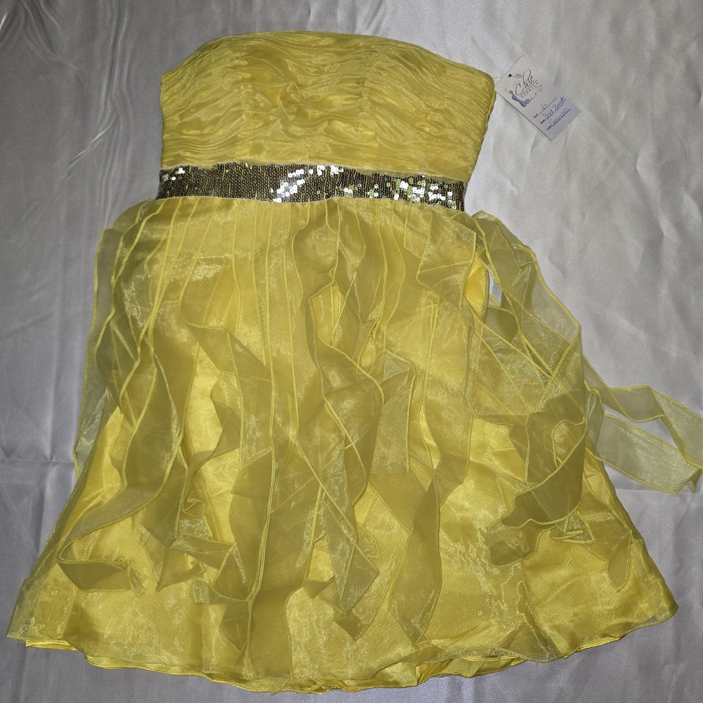 Yellow Organza Ribbon Dress with Sequin Waistband